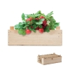 Kit de culture de fraises publicitaire avec compost STRAWBERRY