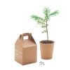 Kit de plantation Publicitaire en papier incluant des graines de pins pour rendre un arbre à la terre GROWTREE